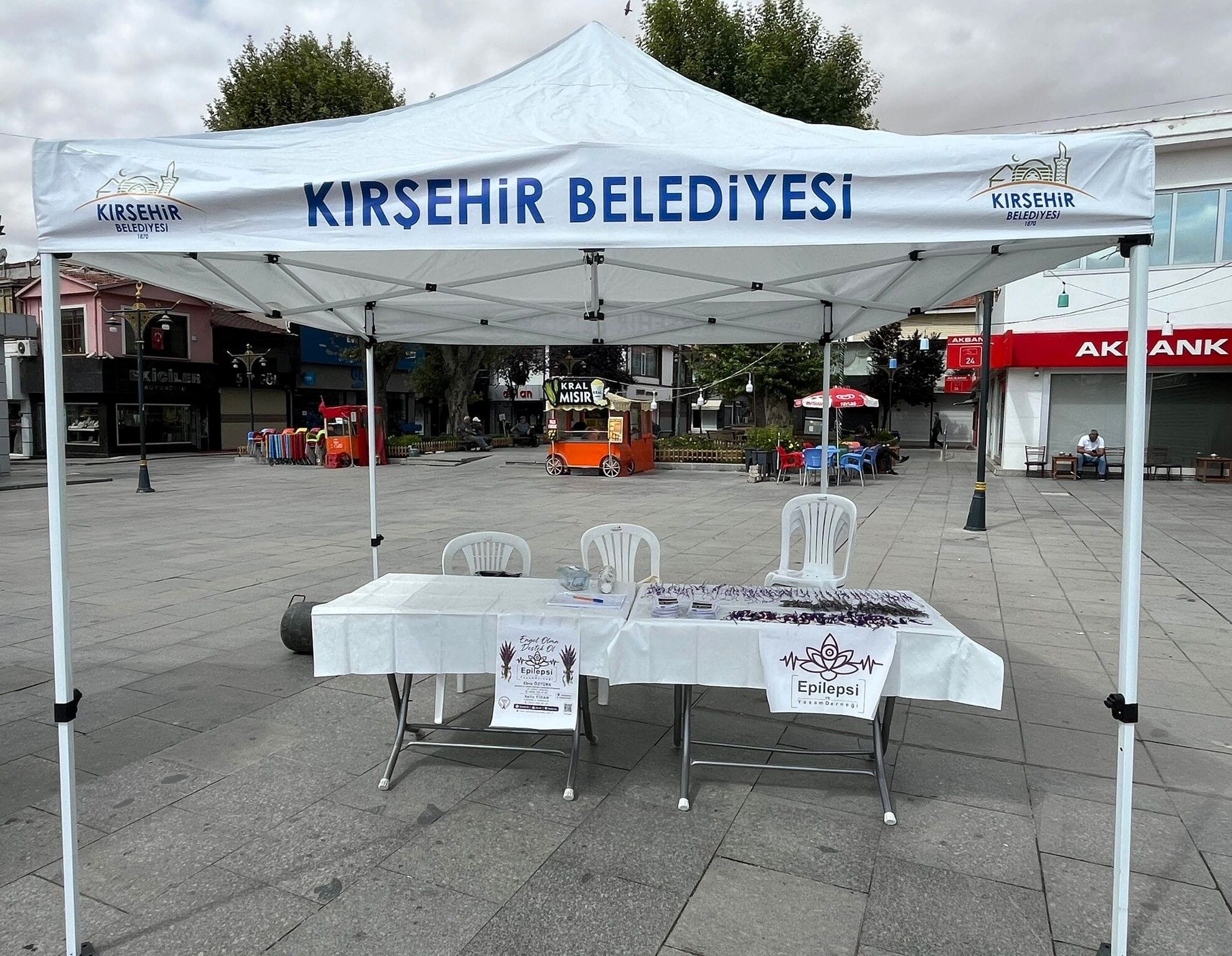 Epilepsi Ve Yaşam Derneği Farkındalık Etkinlikleri 30 Ağustos Zafer Bayramı (7)