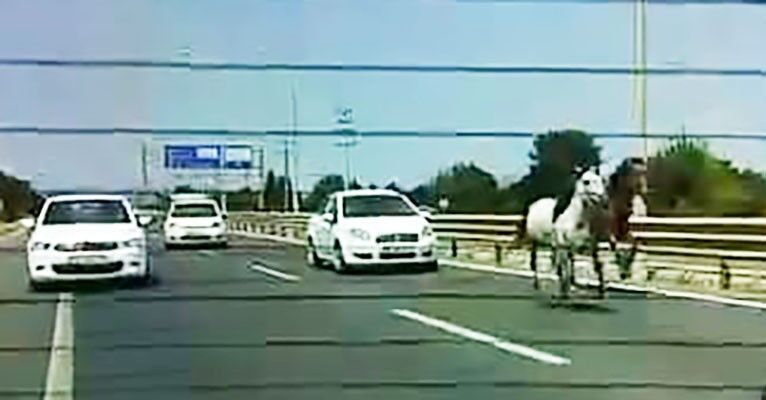 İşte Gerçek Beygir Gücü! İki At Trafikte Araçlarla Adeta Yarıştı (2)