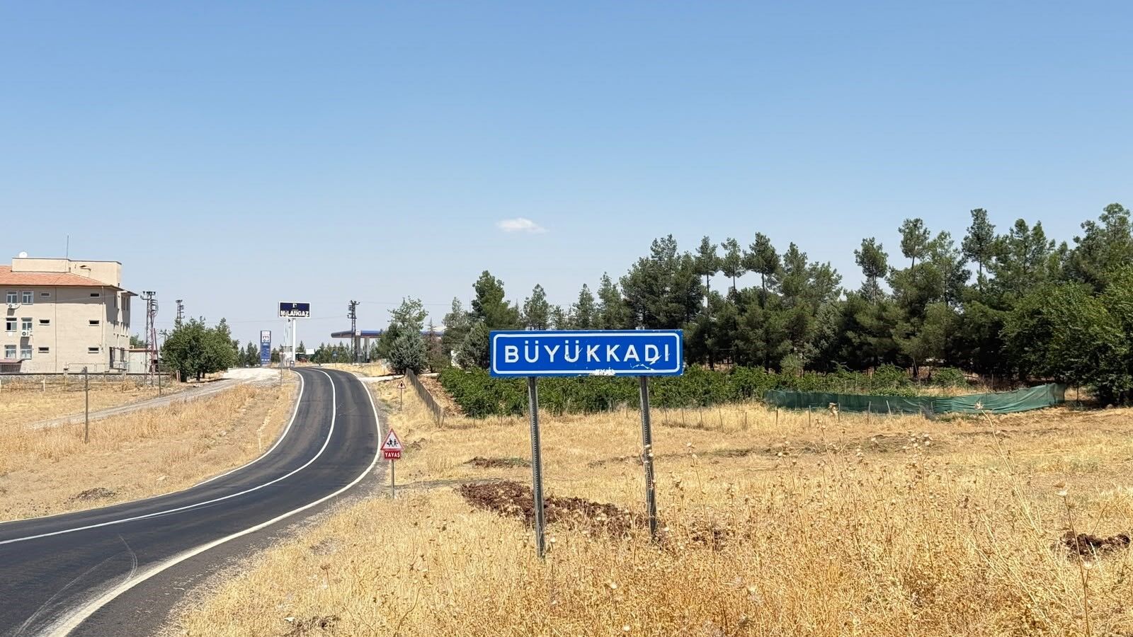 Kedinin Isırdığı 4 Yaşındaki Çocuk Entübe Edildi!