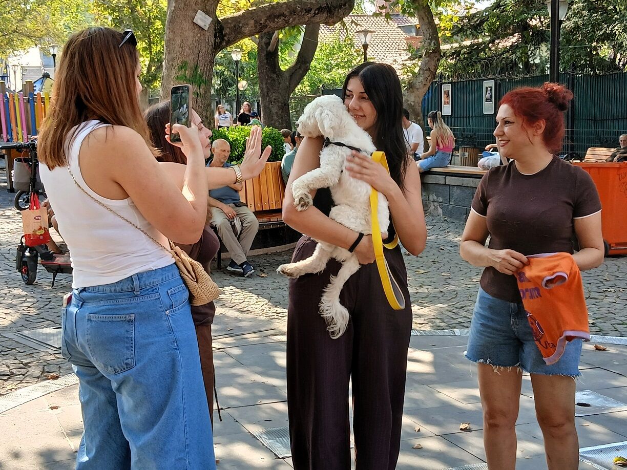 Pati Vista Yuvamı Arıyorum Köpek Sahiplendirme Kuğulupark (3)