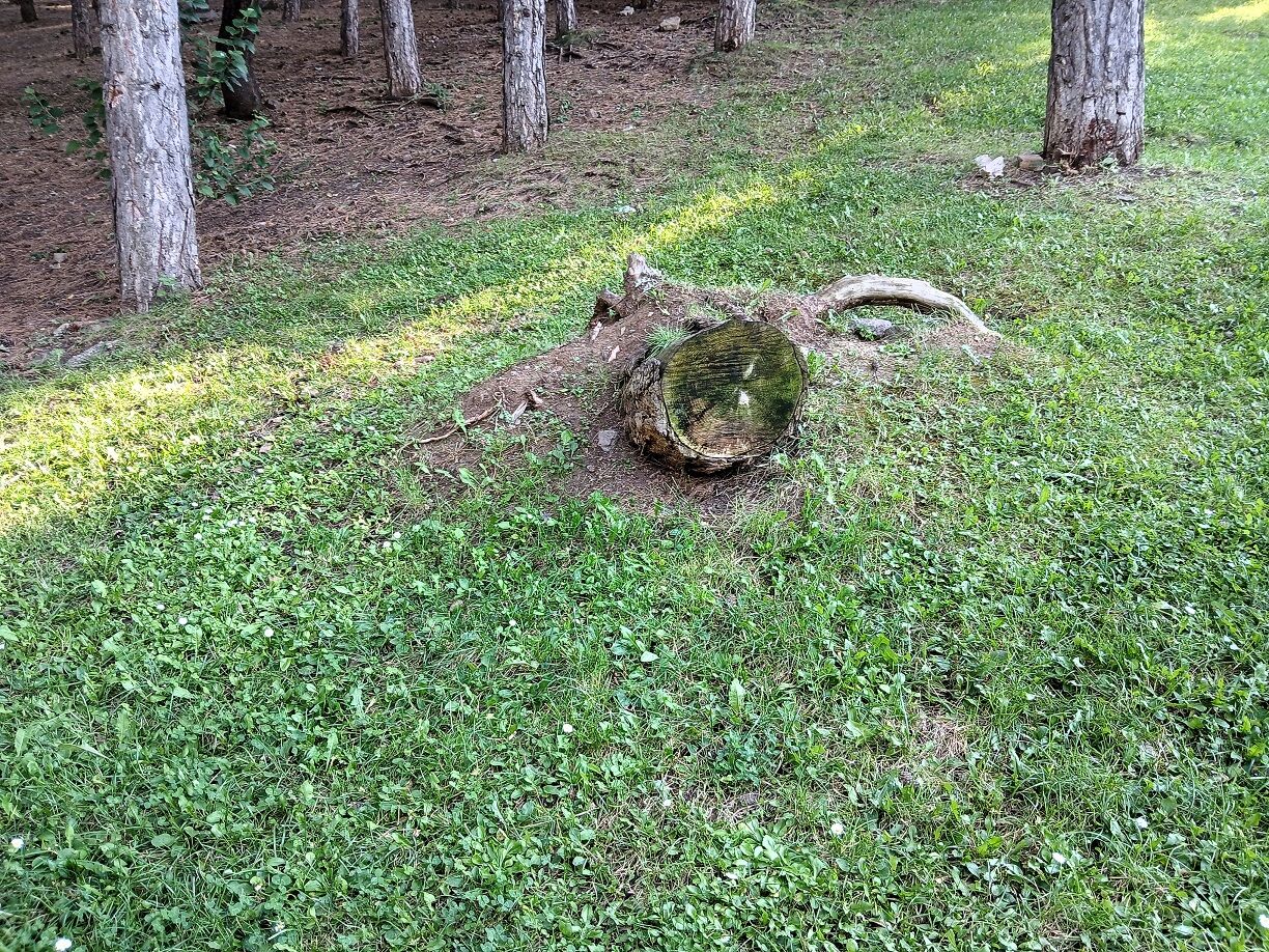 Seğmenler Parkı Çankaya Ankara Başkent Abb Rekreasyon (4)