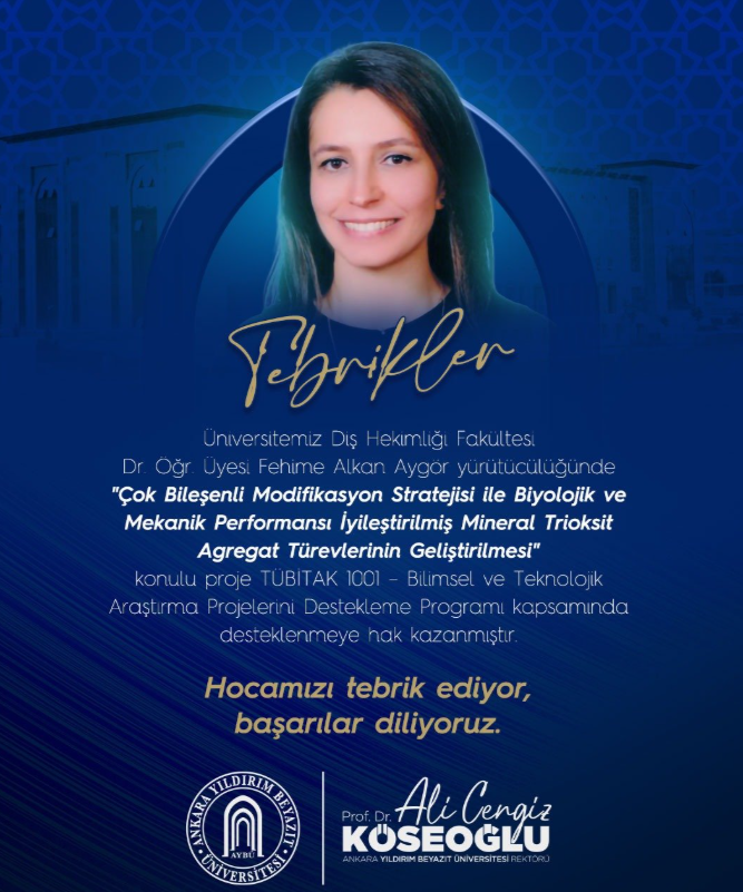 Tübitak Ankara Aybü