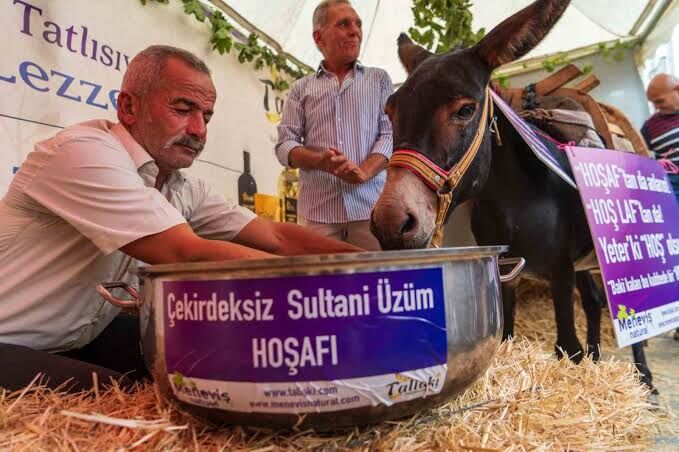 "Eşek hoşaftan ne anlar?" önyargısını yıkmak için bakın ne yaptılar