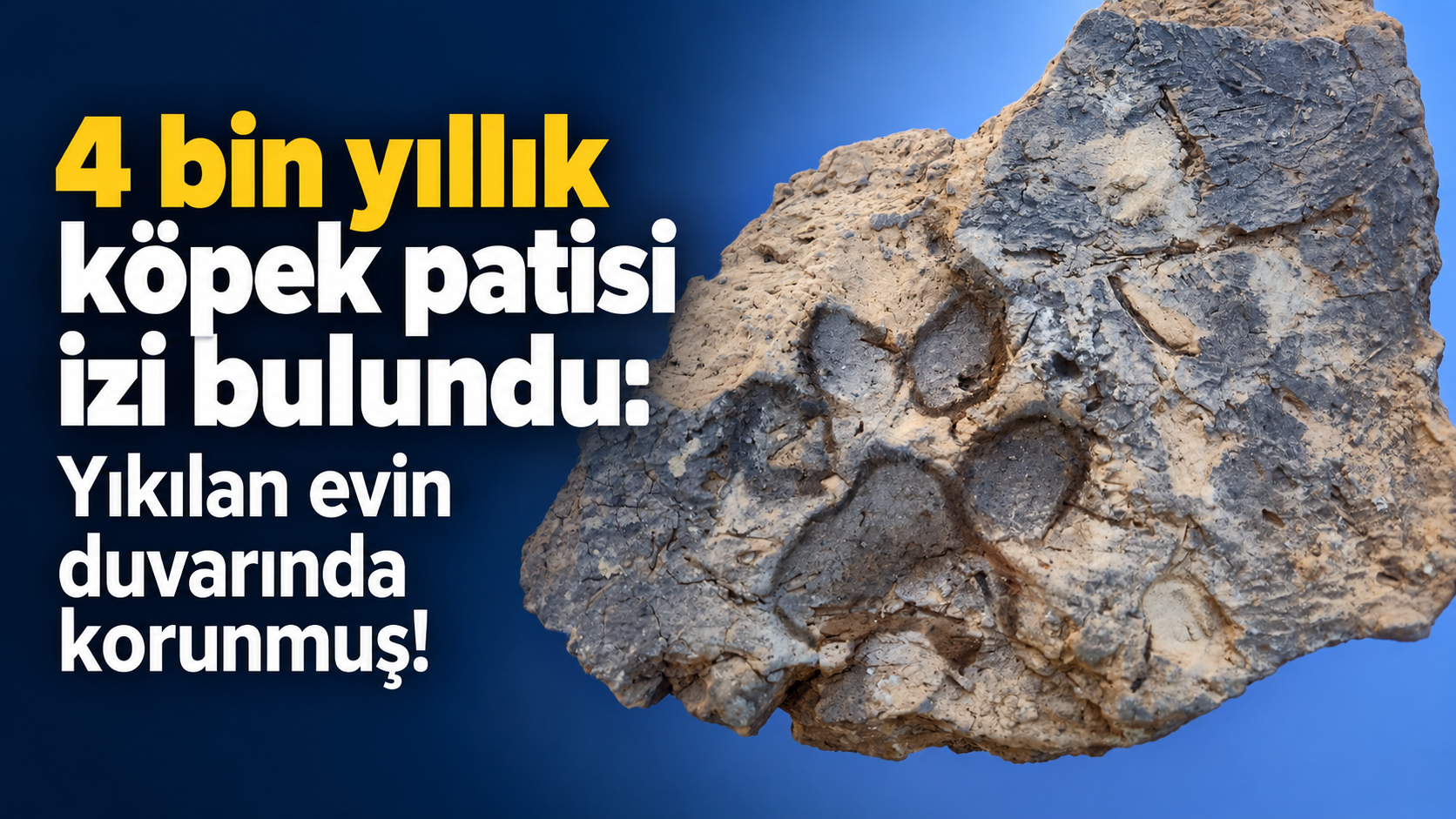 4 bin yıllık köpek patisi izi bulundu: Yıkılan evin duvarında korunmuş!