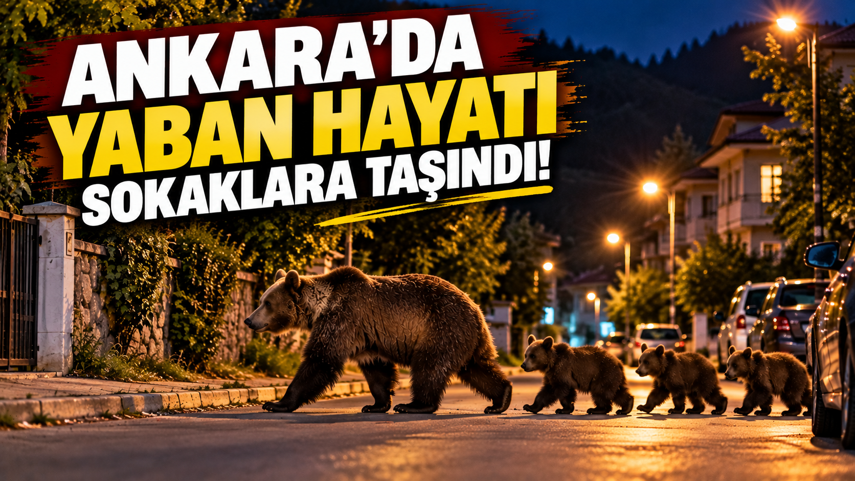 Ankara'da yaban hayatı sokaklara taşındı! Vatandaşlar gördüklerine inanamadı