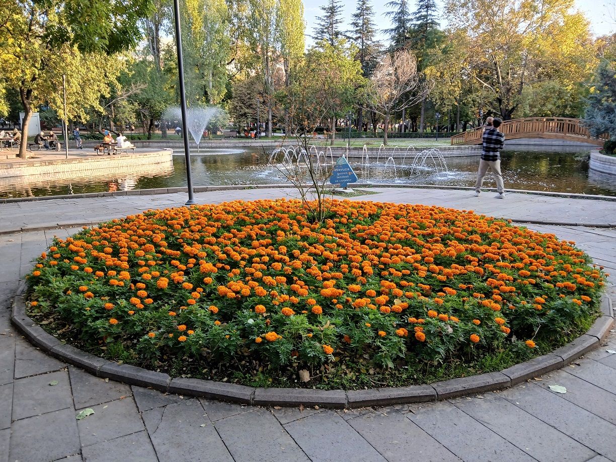 Başkent Ankara Kurtuluş Parkı Sonbahar (3)