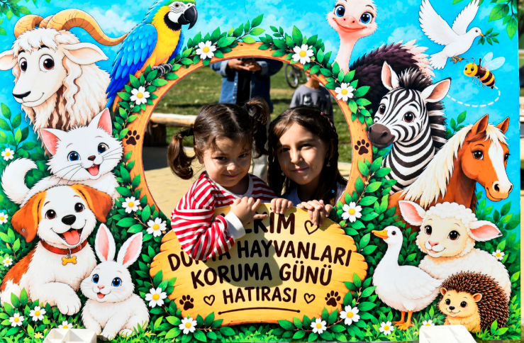 Ekran Görüntüsü 2026 10 05 012312
