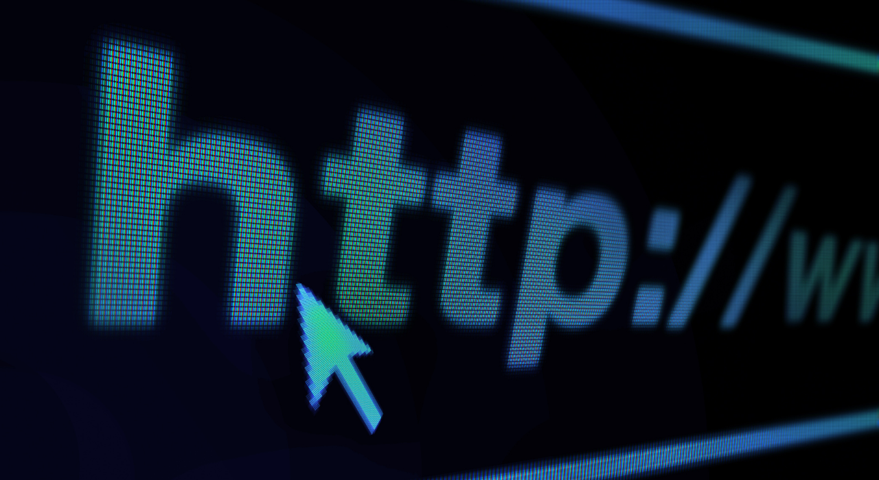Internet Sitesi (2)