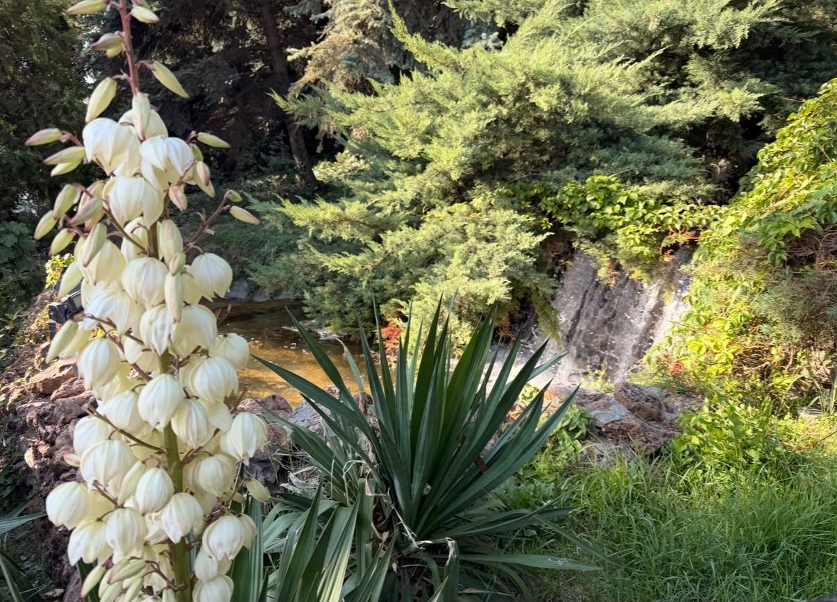 Keçiören Muhsin Yazıcıoğlu Parkı Ankara (5)