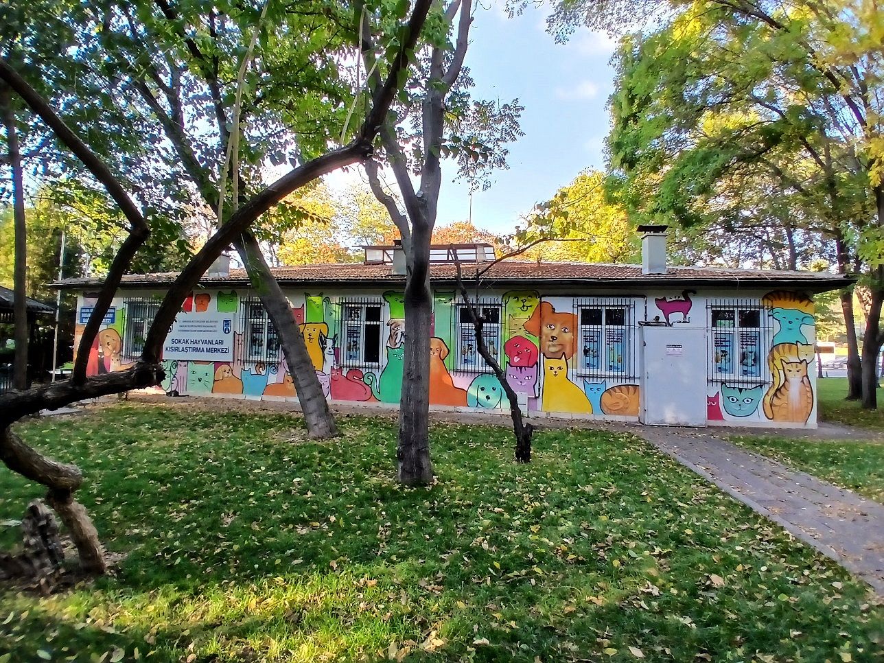 Kurtuluş Sokak Hayvanları Sağlık Merkezi Abb Ankara (2)