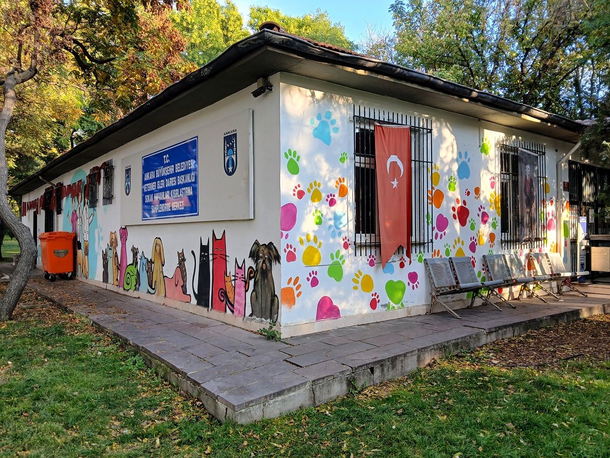 Kurtuluş Sokak Hayvanları Sağlık Merkezi Abb Ankara (4)