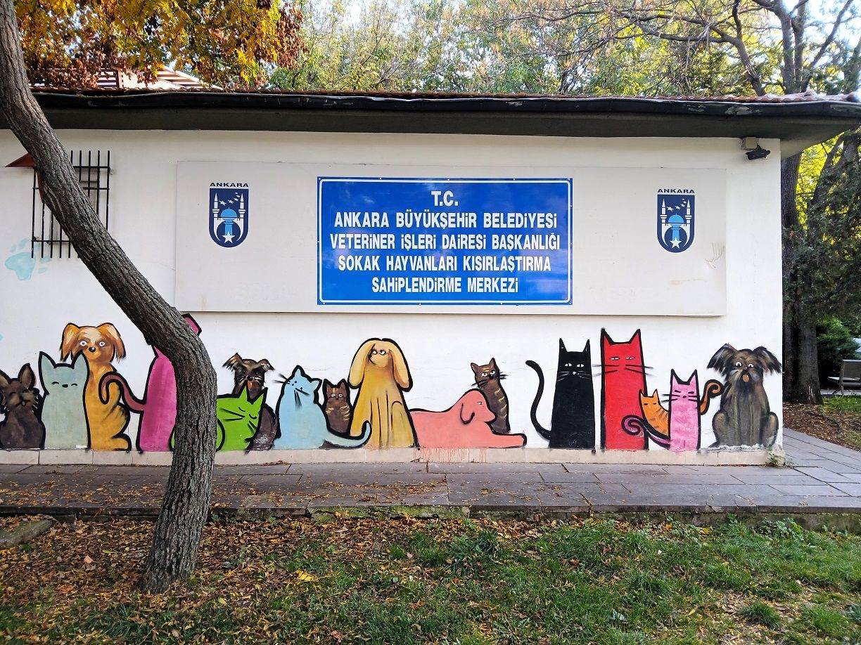 Kurtuluş Sokak Hayvanları Sağlık Merkezi Abb Ankara (6)