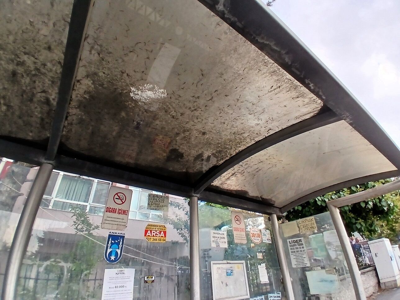 Mamak Münzeviler Caddesi 30138 Nolu Ego Otobüs Durağı (2)