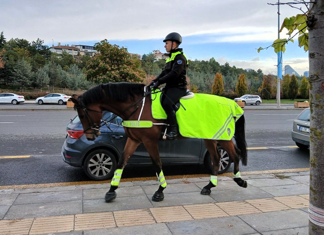 Türk Devletleri Medeniyet Parkı Açılışı Atlı Polis Birlikleri (3)