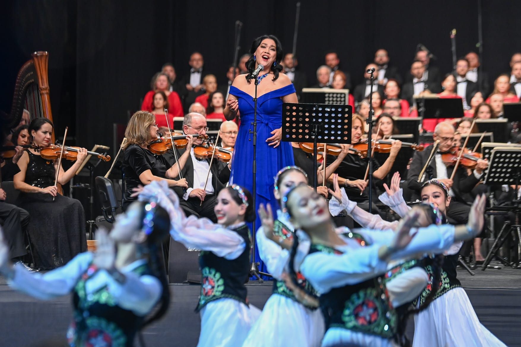 Türk Dünyasi Konser (2)