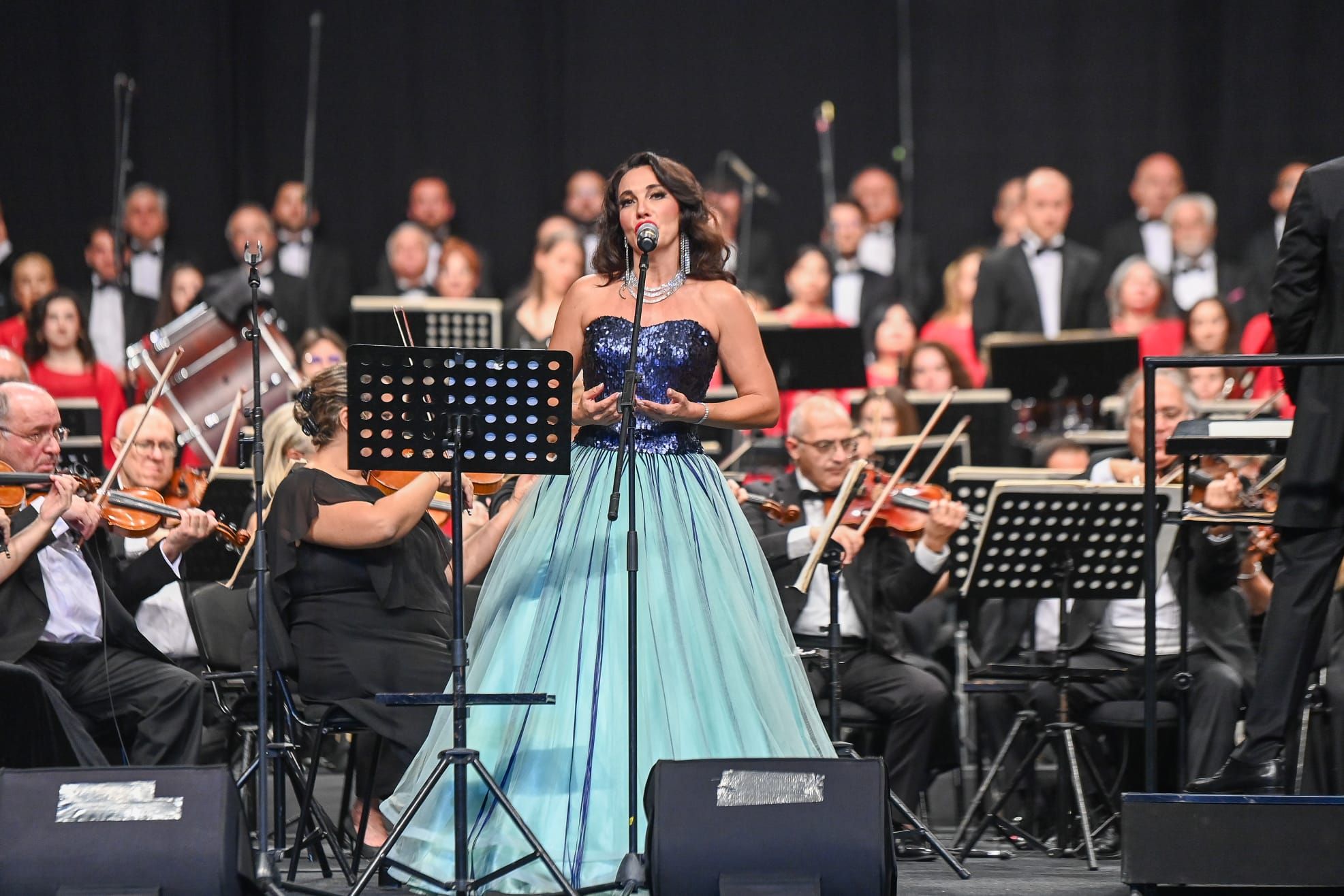 Türk Dünyasi Konser (3)