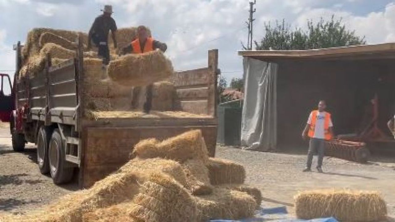 Şereflikoçhisar’da Selden etkilenen çiftçiye yem desteği