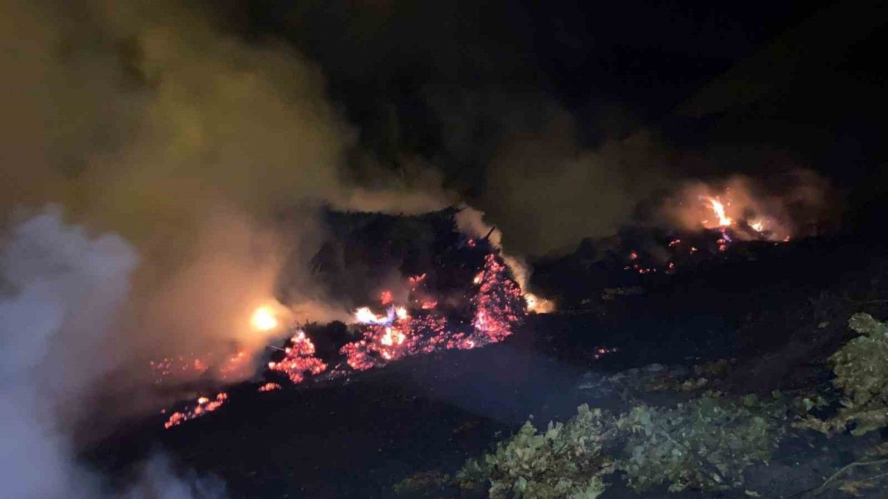 Bitlis’te rüzgarla büyüyen yangın ekiplerce söndürüldü
