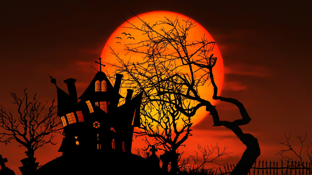 Batı'nın geleneği Ankara sokaklarında... Cadılar Bayramı yerine hangi Türk kutlamaları var?