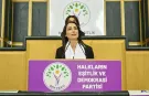 DEM'li Hatimoğulları'nın "Dört parça Kürdistan" sözleri tepki çekti! "PKK gibi DEM de silah bıraksın"