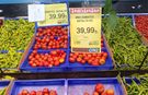 SEBZE VE YEŞİLLİK FİYATLARINDA SON DURUM