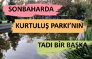 Sonbaharda Kurtuluş Parkı’nın tadı bir başka