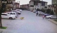 Ankara'da başıboş köpekler mahalleye dadandı 