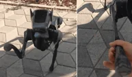 Eskişehir’de robot köpek vatandaşların ilgi odağı oldu