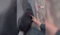 Ağızlıksız Rottweiler dehşet saçtı: Önce kadına sonra kuryeye saldırdı, o anlar kamerada!