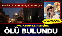 Görevine gitmeyince gerçek ortaya çıktı: 7 aylık hamile hemşire evde ölü bulundu!
