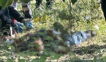 Eskişehir'de şüpheli ölüm! Ağaçların altında hareketsiz yatan adamın öldüğü ortaya çıktı