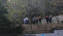 Sarıyer'de parkta şüpheli ölüm: Çalıların arasında cansız bedeni bulundu!