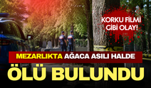 Korku filmlerini aratmayan olay! Mezarlıkta ağaca asılı halde ölü bulundu