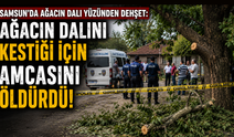Samsun’da ağacın dalı yüzünden dehşet: Ağacın dalını kestiği için amcasını öldürdü!