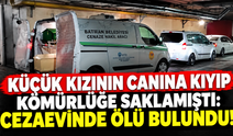 Küçük kızının canına kıyıp kömürlüğe saklamıştı: Cezaevinde ölü bulundu!