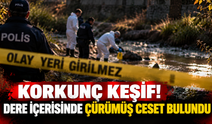 Korkunç keşif! Dere içerisinde çürümüş ceset bulundu