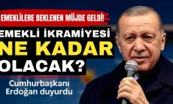 Cumhurbaşkanı Erdoğan müjdeyi verdi: Emekli ikramiyesi belli oldu!