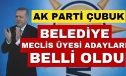 AK Parti Çubuk Belediye Meclis Üyesi Adayları belli oldu! İşte o liste;