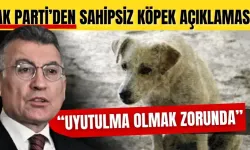 Başıboş köpekler uyutulacak mı? AK Partili isimden flaş açıklama