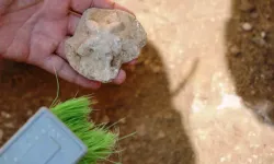 Diyarbakır'ın Kulp ilçesindeki arkeolojik kazılarda 1500 yıllık kilise kalıntısında yeni buluntular var!