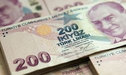 Bakanlık duyurdu: Tarımsal destek ödemesi hesaplara aktarıldı!