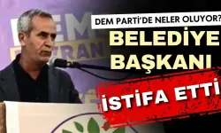 DEM Partili belediye başkanı partisinden istifa etti!