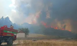 Kızılcahamam'daki ormanlık alan alevlere teslim oldu!