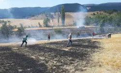 Mudurnu'da tarlaya sıçrayan yangın güçlükle söndürüldü