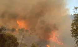 Muğla’daki orman yangını yüzünden Yerkesik-Akbük karayolu ulaşıma kapatıldı!