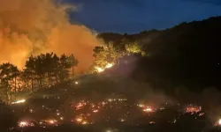 Dalaman'da büyük orman yangını