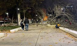 Başkentte fırtına: Rüzgar Güvenpark'taki ağacı kökünden söktü