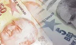 5 ve 50 TL'lik yeni banknotlar dolaşıma girdi