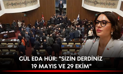 Gül Eda Hür'den meclis kavgasına ilişkin çarpıcı açıklama!