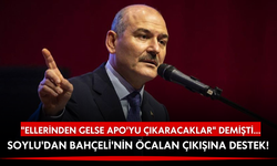 "Ellerine fırsat gelse Apo'yu çıkaracaklar" diyen Soylu'dan Bahçeli'nin Öcalan çıkışına destek!